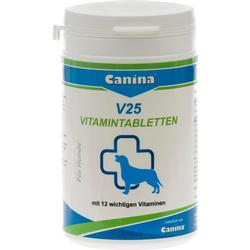 Dose mit Vitamin-Tabletten für Hunde.